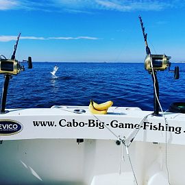 Sport fishing on the sea in Croatia Sport fishing on the sea in Croatia