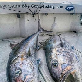 biggamefishing27 biggamefishing27