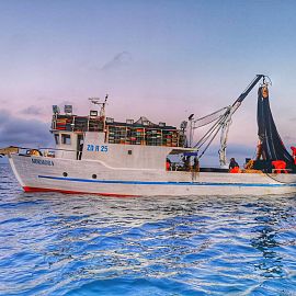 marlinfishing marlinfishing