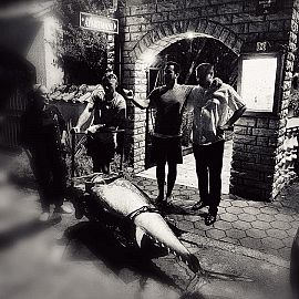 biggamefishing43 biggamefishing43