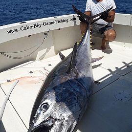 Deep sea fishing Mediterranean Deep sea fishing Mediterranean