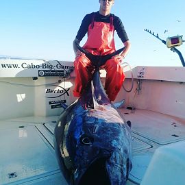 cabo-big-game-fishing-croatia cabo-big-game-fishing-croatia